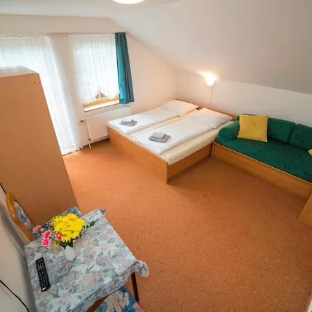 Guest house Family Apartments In Vrchlabi, Giant Mountains - Pension 220