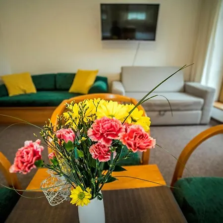 Guest house Family Apartments In Vrchlabi, Giant Mountains - Pension 220 Vrchlabi