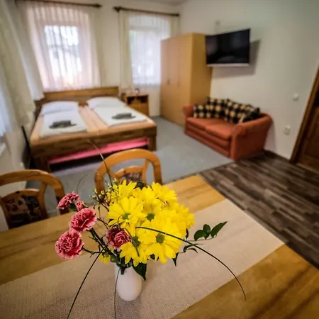 Family Apartments In Vrchlabi, Giant Mountains - Pension 220
