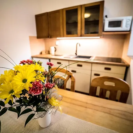 Family Apartments In Vrchlabi, Giant Mountains - Pension 220 3* Vrchlabi