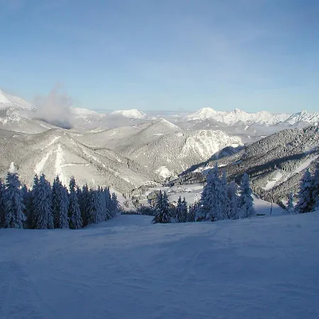 Family Apartments In Vrchlabi, Giant Mountains - Pension 220 3*