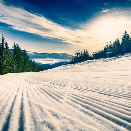 Family Apartments In Vrchlabi, Giant Mountains - Pension 220 Guest house